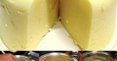 5 Dicas para Fazer uma Deliciosa Muçarela Caseira