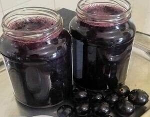 7 Motivos para Você Fazer Geleia de Jabuticaba em Casa