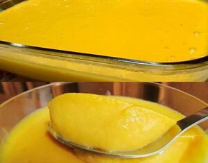 5 Dicas para Fazer uma Deliciosa Mousse de Manga