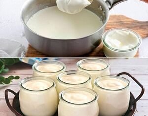 5 Razões para Escolher Iogurte Natural Caseiro